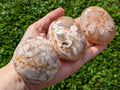 XL Flower Agate Palm Stones | | Wiccan Center