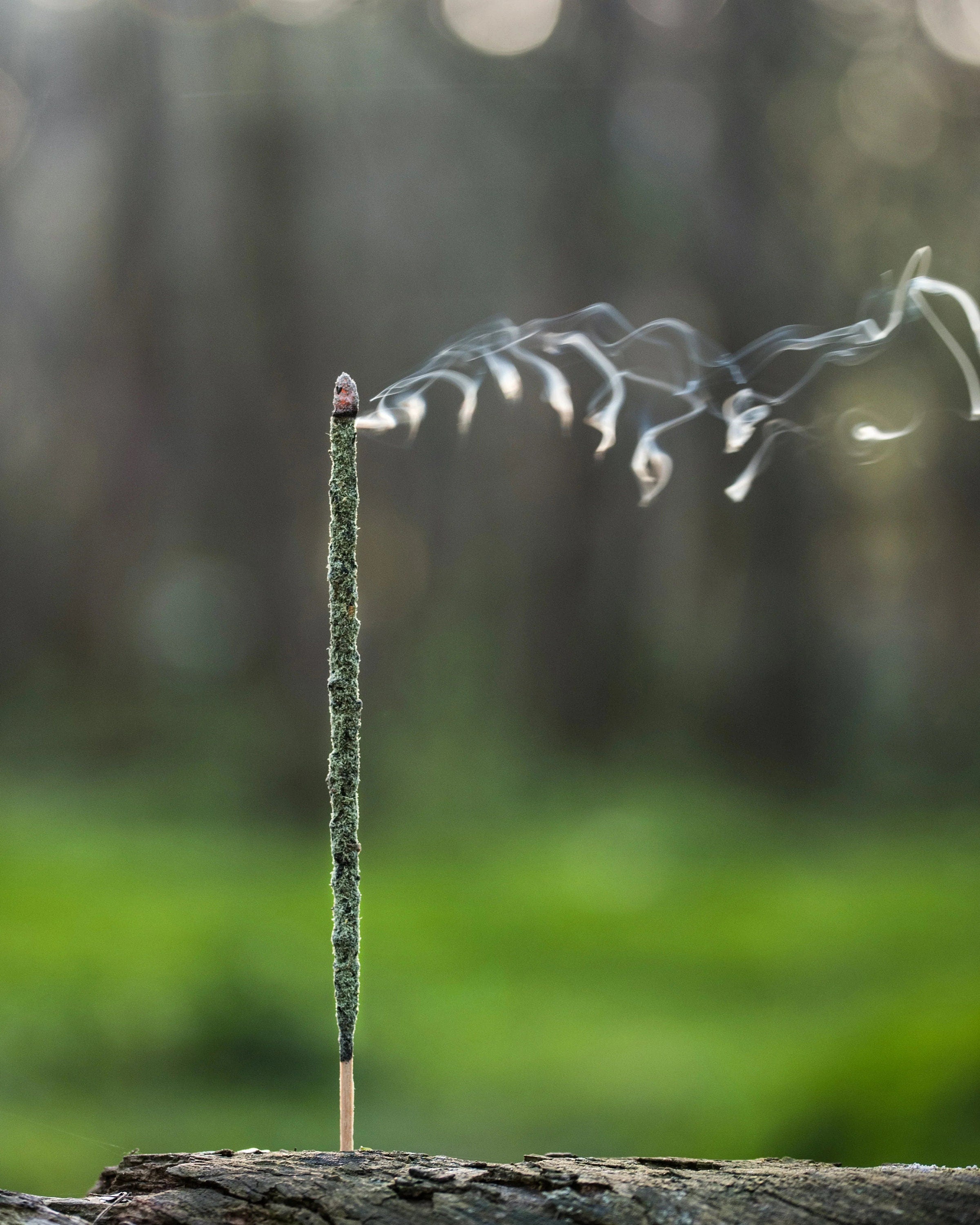 Green Sparkle Gaia Incense Sticks | Incense | Wiccan Center