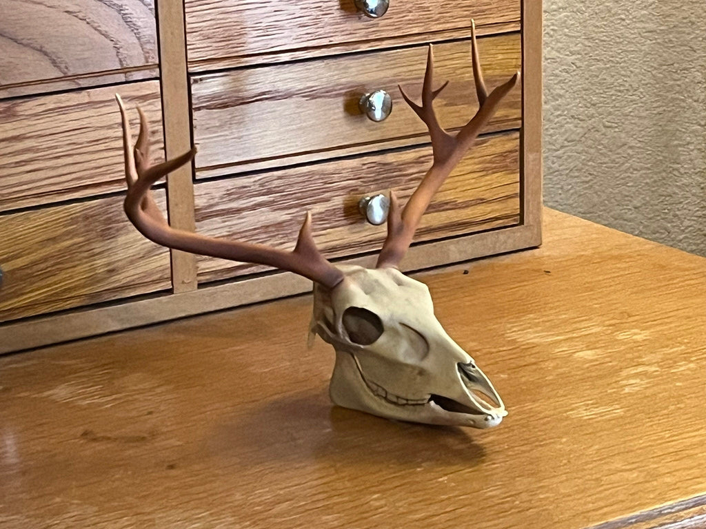 Hand Painted 3D Printed Deer Skull: Acrylic Enamel Decor | | Wiccan Center