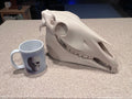 Extra Large 3D Printed Horse Skull: PLA Plastic, 12-Inch | | Wiccan Center