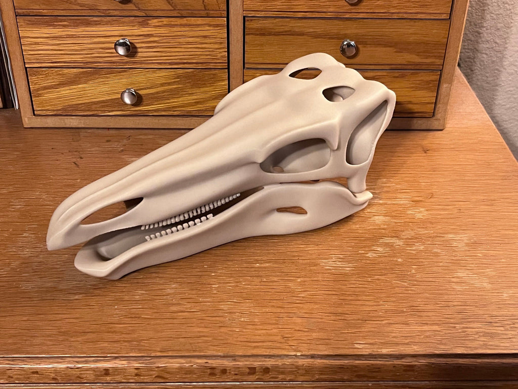 10 inch Stegosaur Skull (3D Printed PLA Plastic) | | Wiccan Center