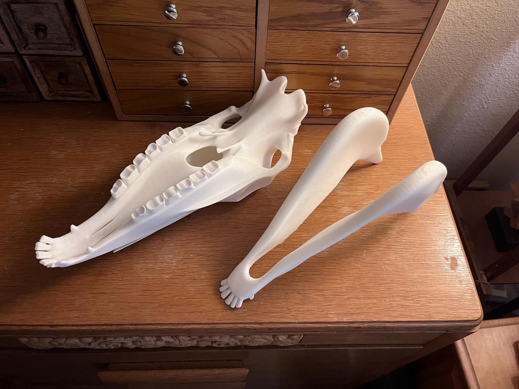 Extra Large 3D Printed Horse Skull: PLA Plastic, 12-Inch | | Wiccan Center