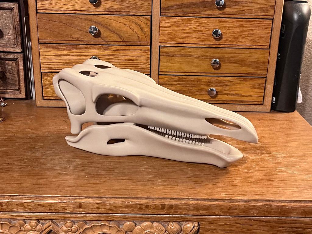 10 inch Stegosaur Skull (3D Printed PLA Plastic) | | Wiccan Center