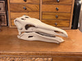 10 inch Stegosaur Skull (3D Printed PLA Plastic) | | Wiccan Center