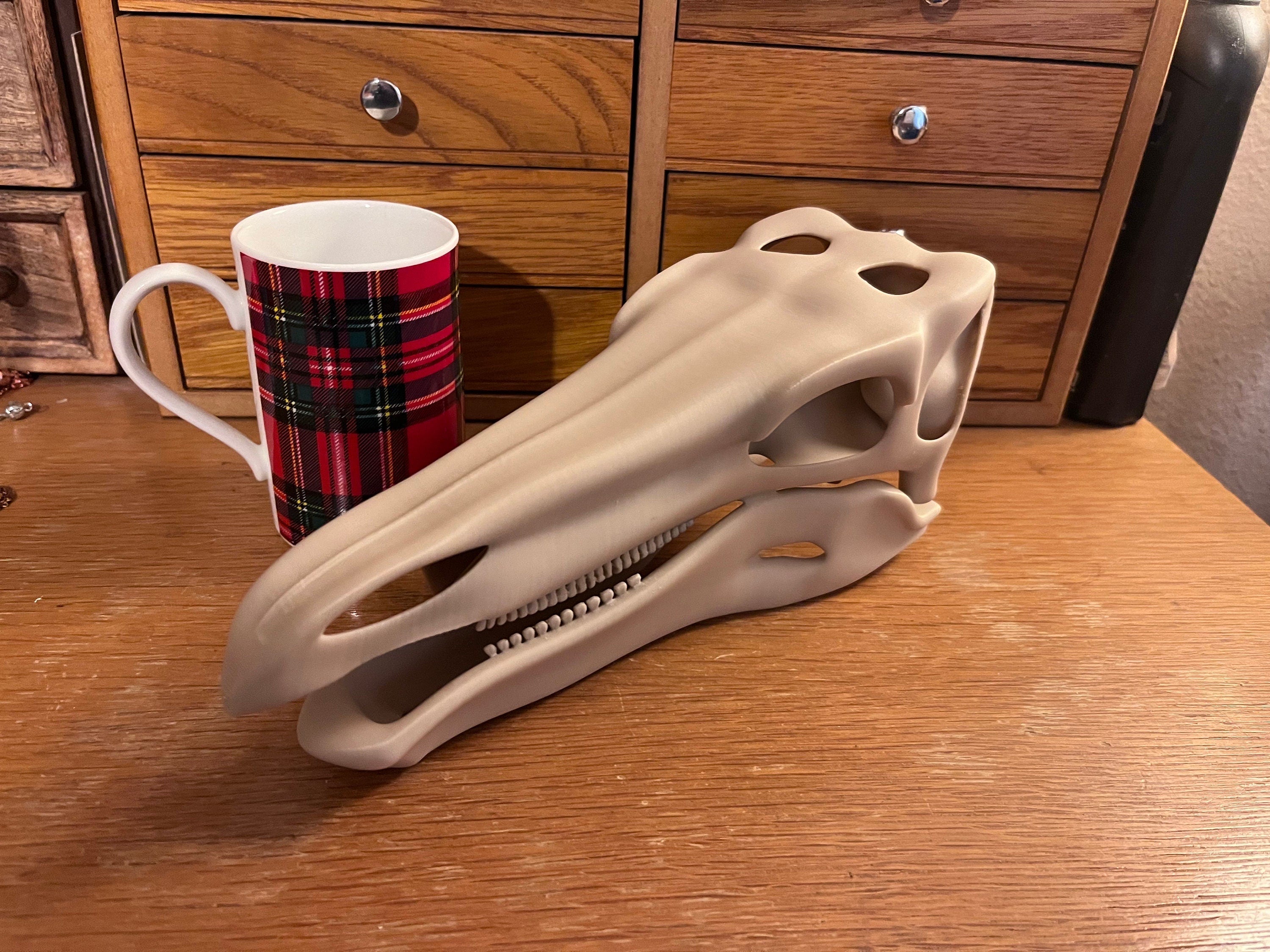 10 inch Stegosaur Skull (3D Printed PLA Plastic) | | Wiccan Center