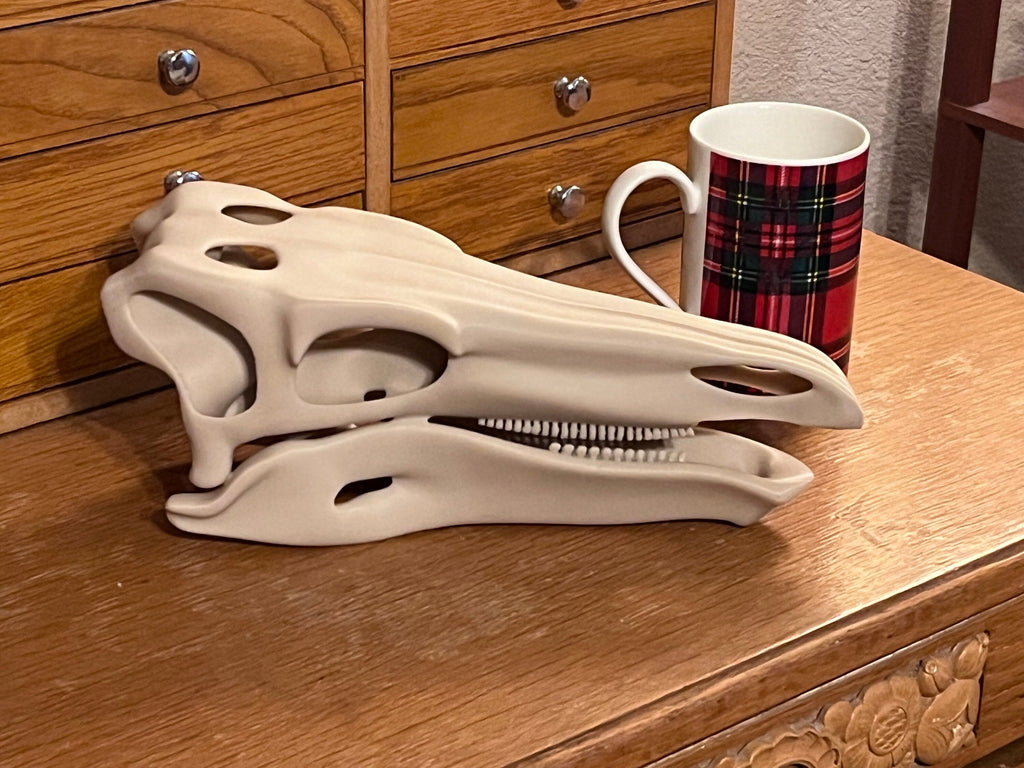 10 inch Stegosaur Skull (3D Printed PLA Plastic) | | Wiccan Center