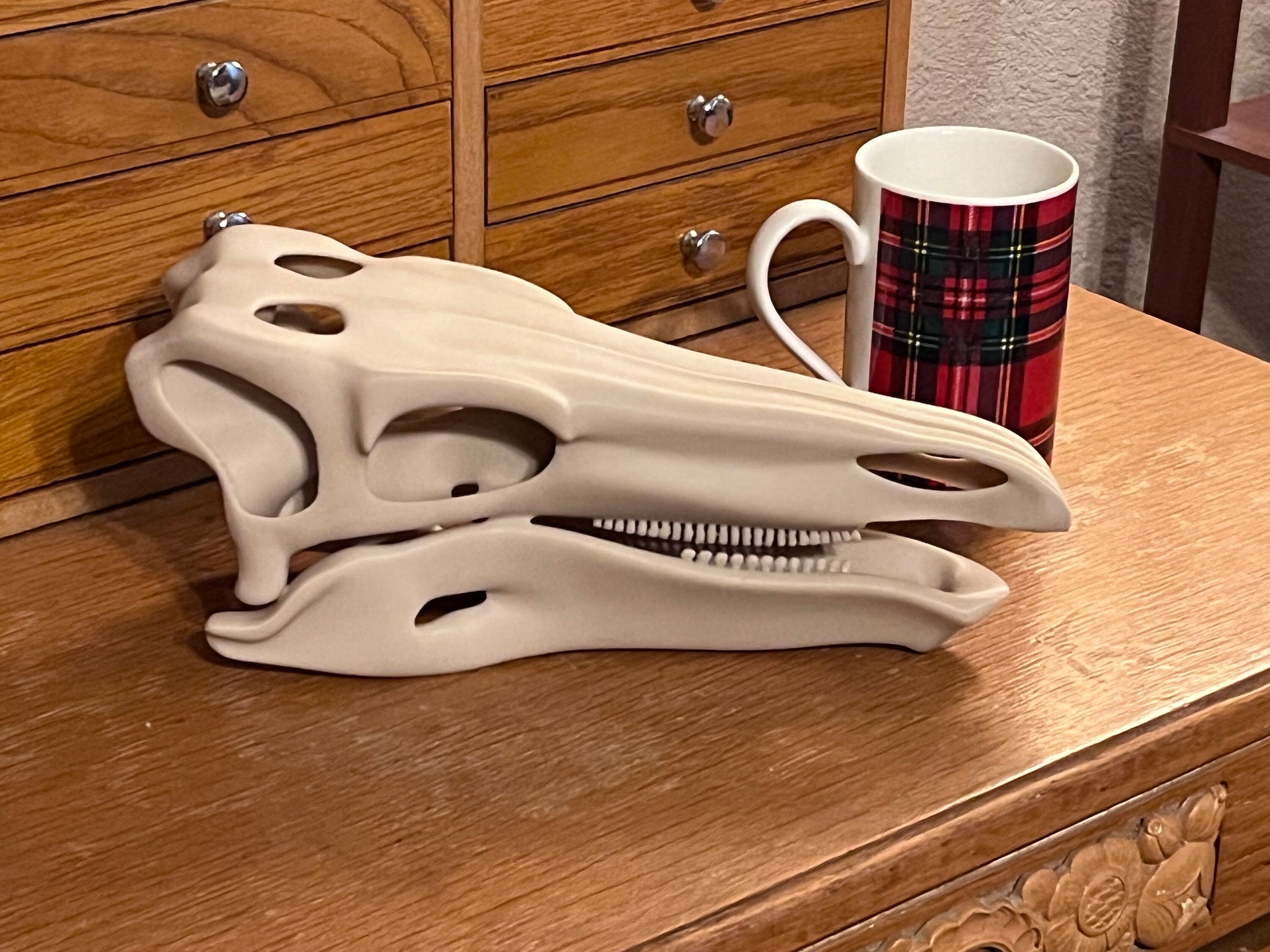 10 inch Stegosaur Skull (3D Printed PLA Plastic) | | Wiccan Center