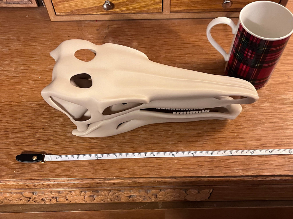 10 inch Stegosaur Skull (3D Printed PLA Plastic) | | Wiccan Center