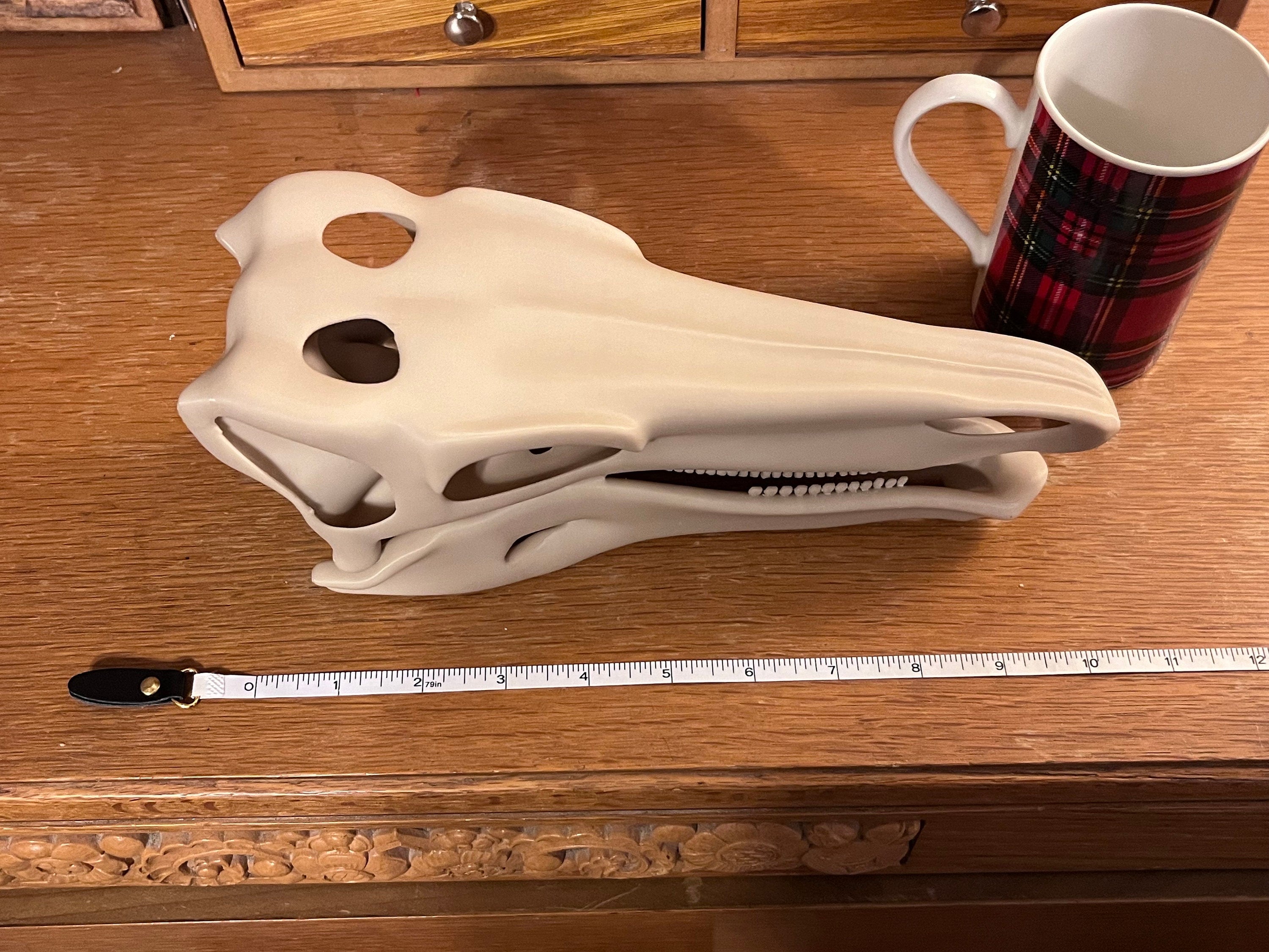 10 inch Stegosaur Skull (3D Printed PLA Plastic) | | Wiccan Center