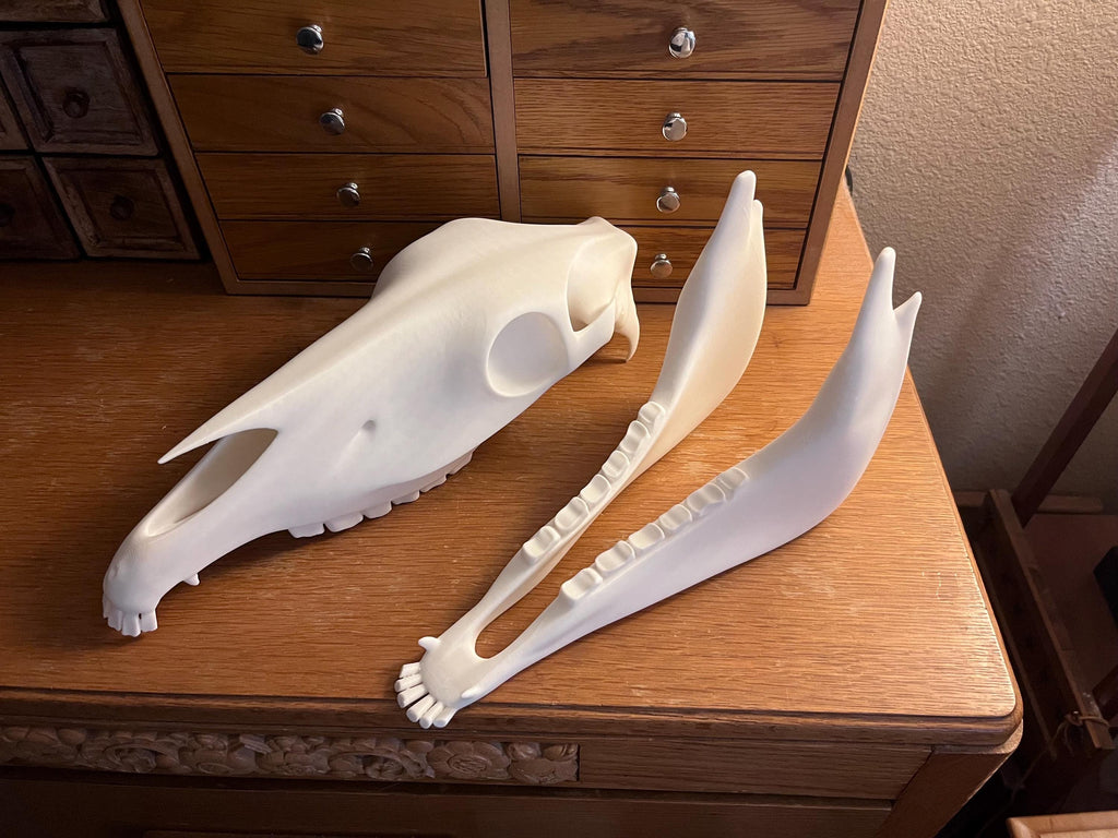 Extra Large 3D Printed Horse Skull: PLA Plastic, 12-Inch | | Wiccan Center