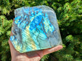 Labradorite One-Sided Freeform - OOAK | | Wiccan Center