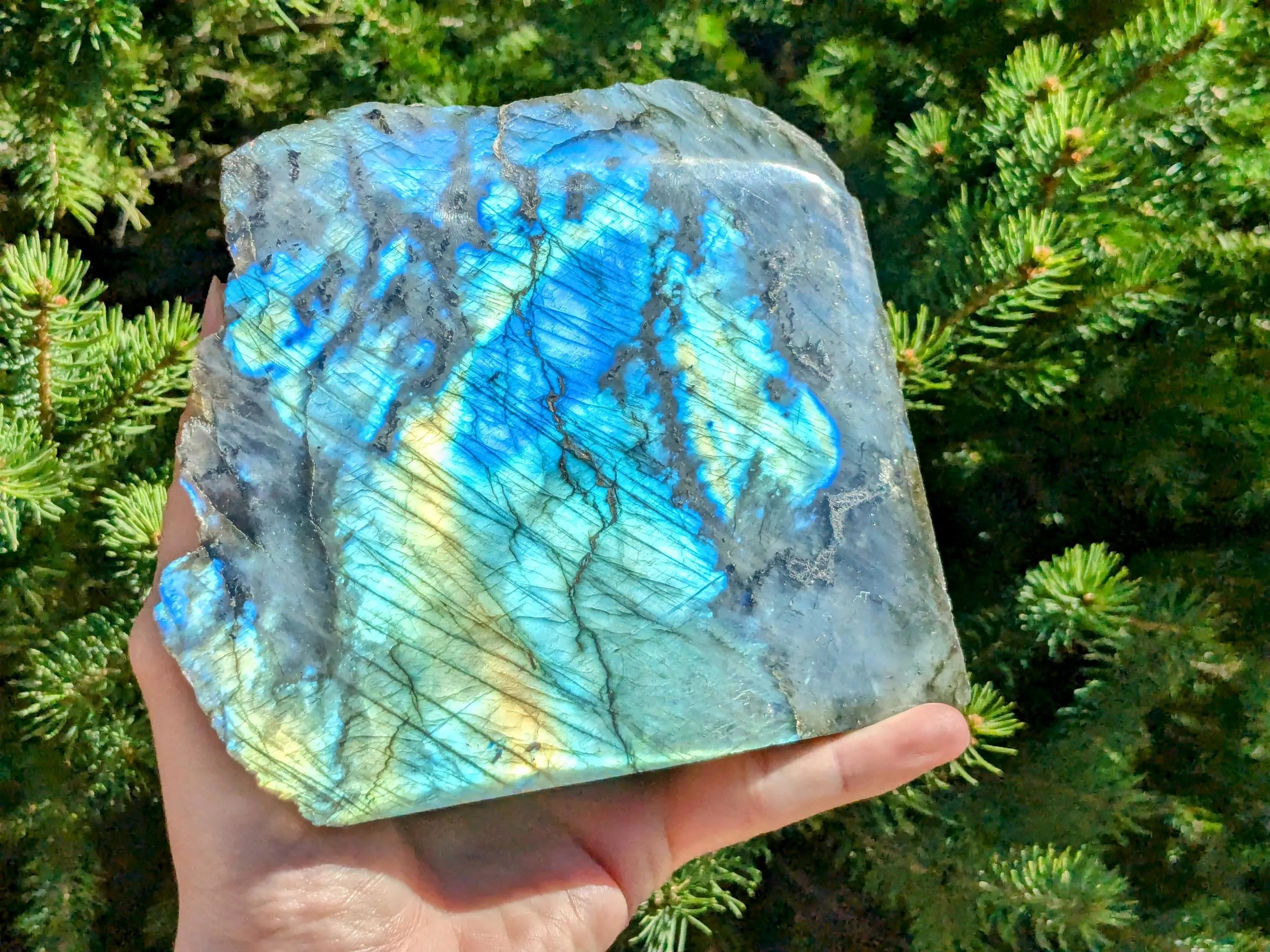 Labradorite One-Sided Freeform - OOAK | | Wiccan Center