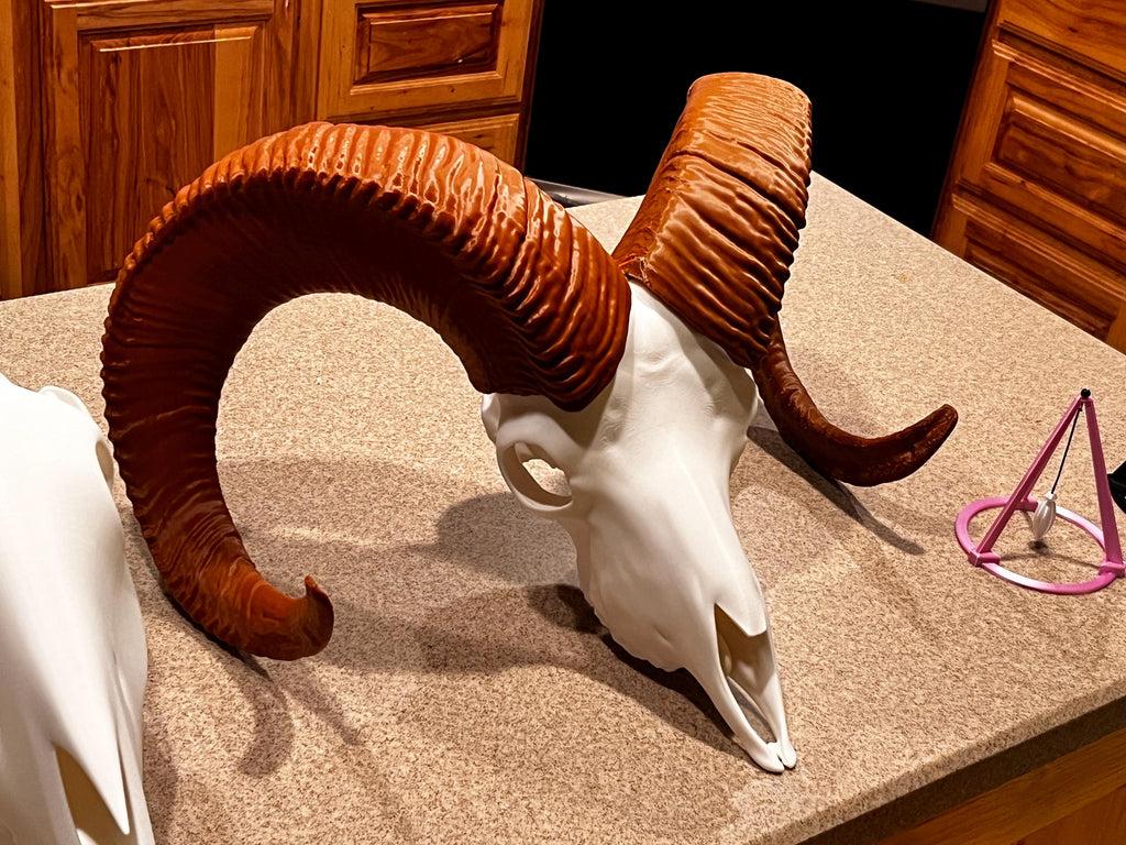 3D Printed Bighorn Sheep Skull Replica: Gothic Altar Decor | | Wiccan Center