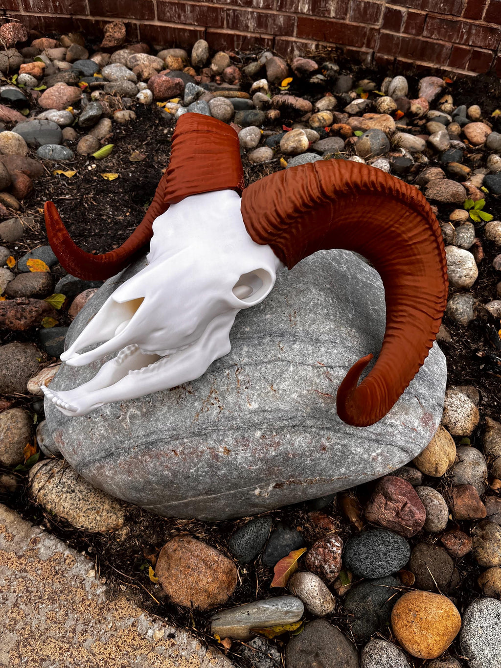 3D Printed Bighorn Sheep Skull Replica: Gothic Altar Decor | | Wiccan Center