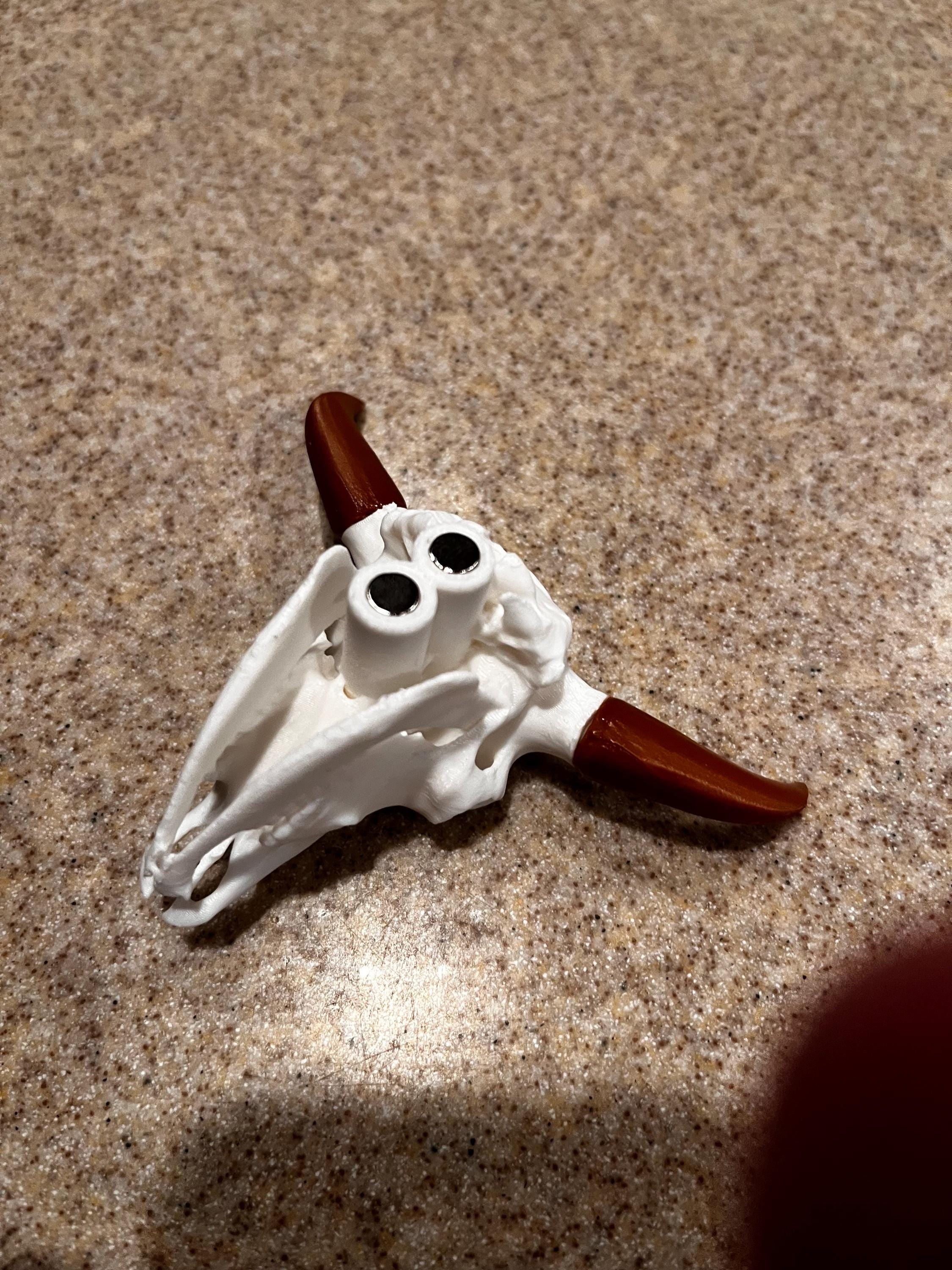 Bison Skull Fridge Magnet (3D Printed PLA Plastic) | | Wiccan Center