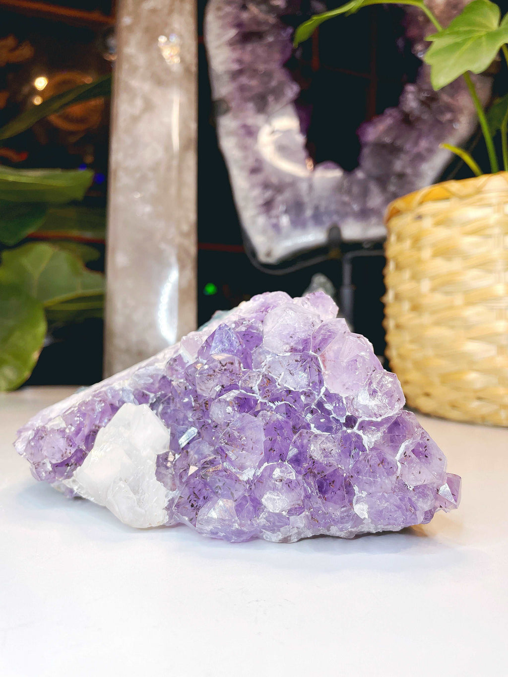 Amethyst Cluster w/ Dogtooth Calcite