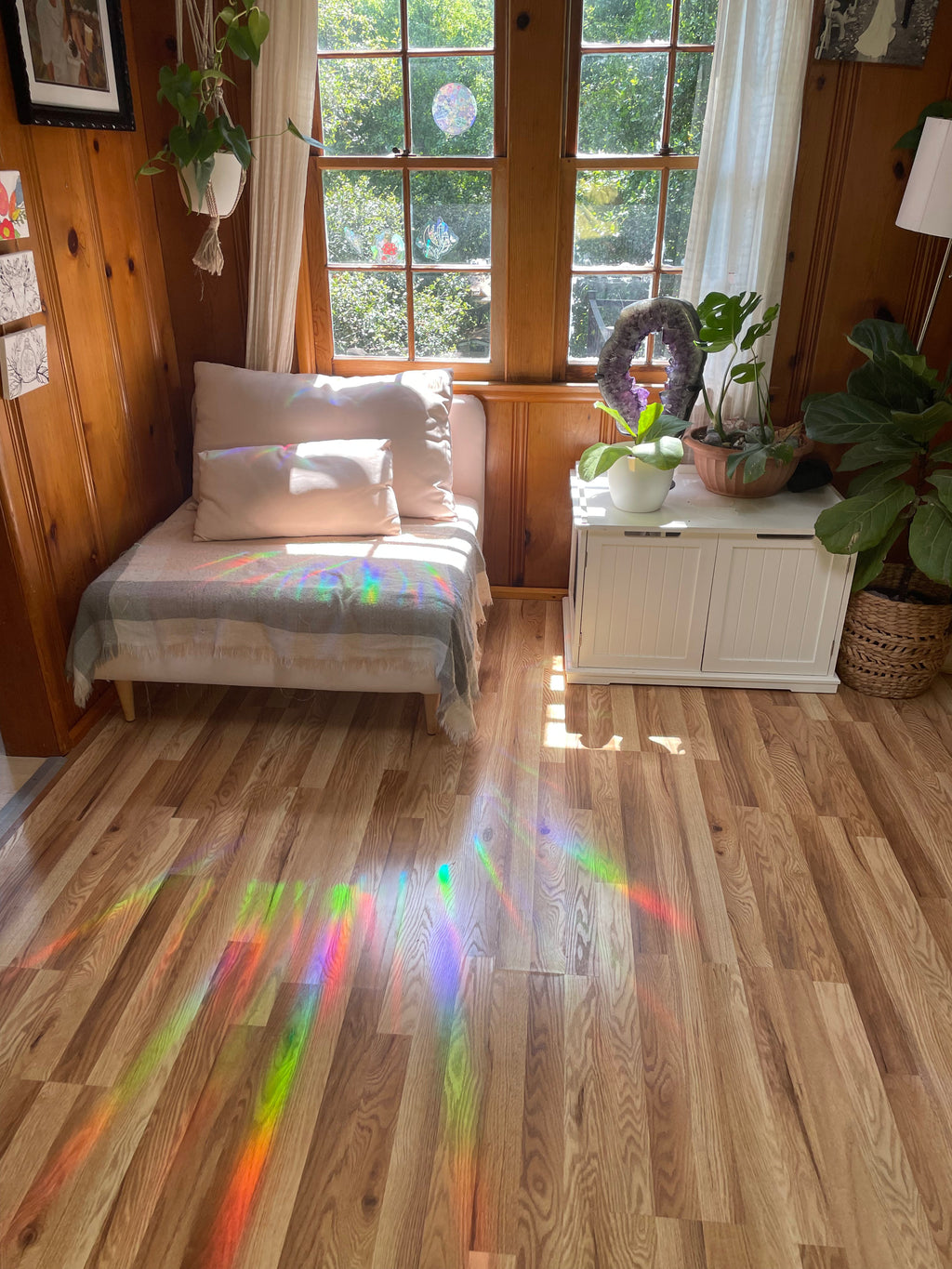 Mushrooms in Jar Rainbow Prism Window Decal