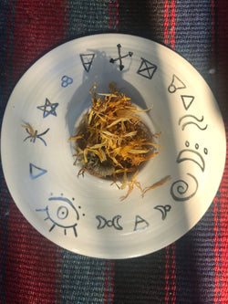 Calendula (Calendula officinalis) - Witching Flowers | Herbs | Wiccan Center