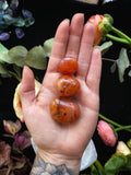 Tumbled Carnelian | Crystals | Wiccan Center