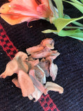 Galangal Root, Chewing John (Alpina galanga) - Witching Roots | Herbs | Wiccan Center