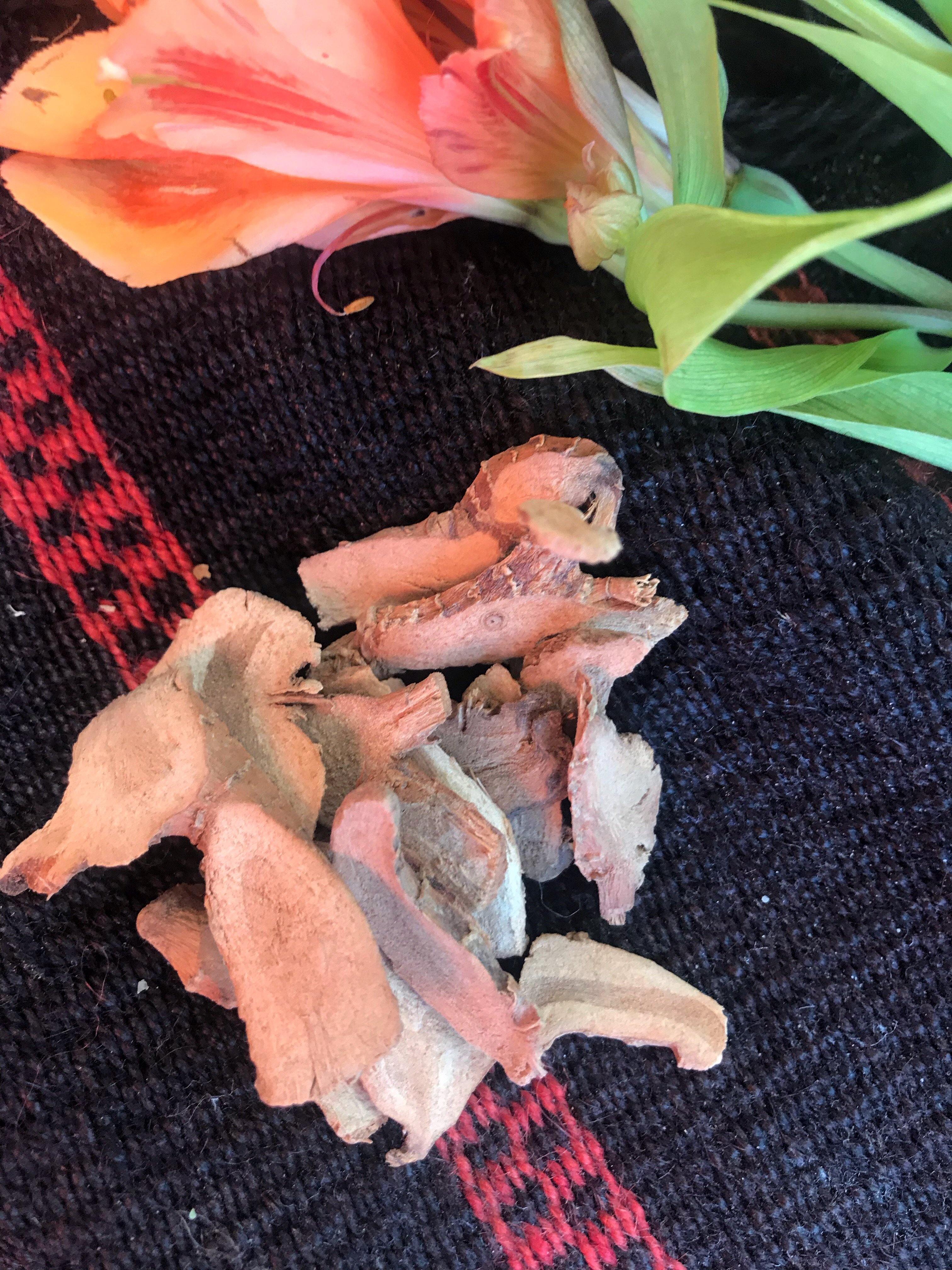 Galangal Root, Chewing John (Alpina galanga) - Witching Roots | Herbs | Wiccan Center