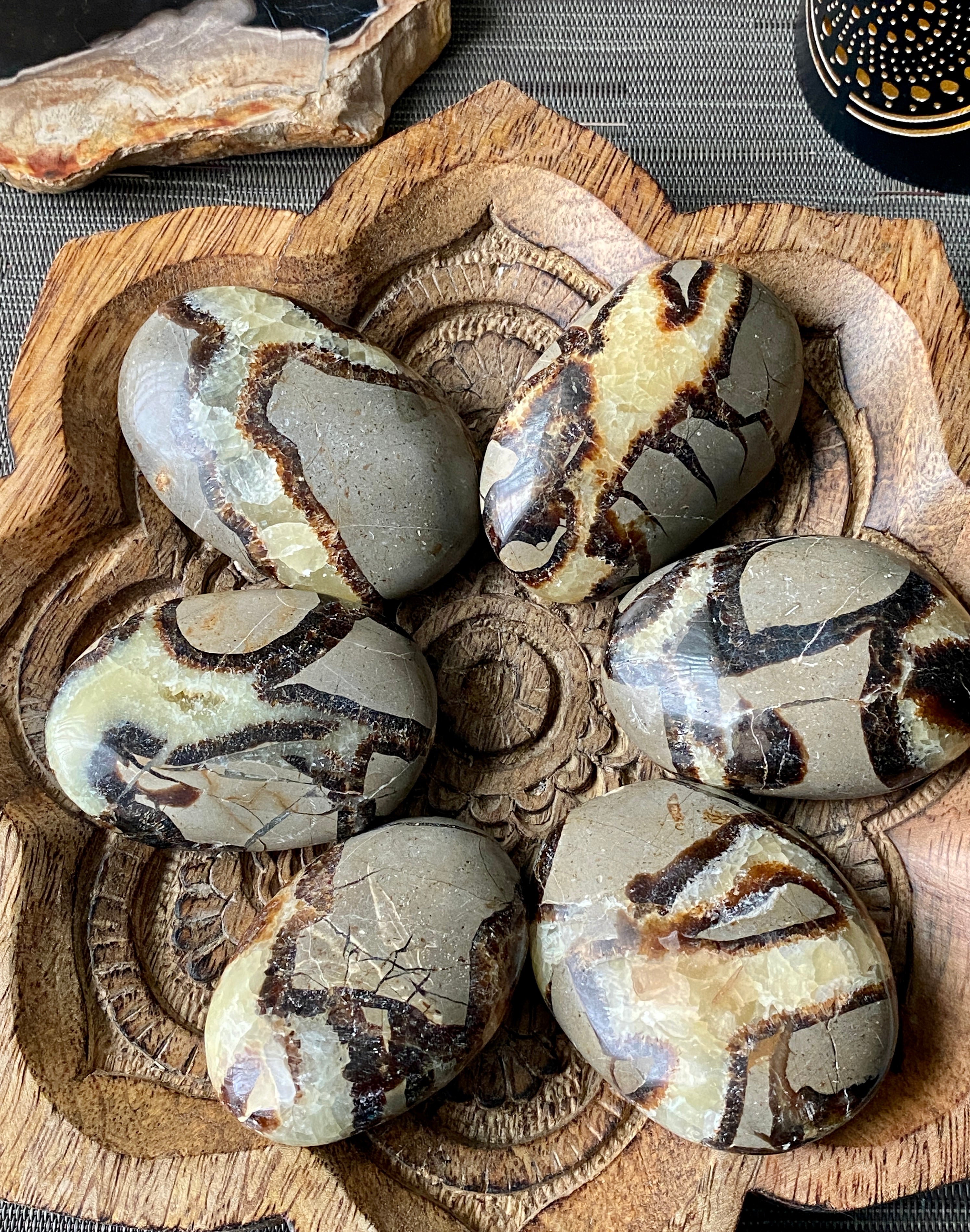 Septarian Palm Stone | | Wiccan Center