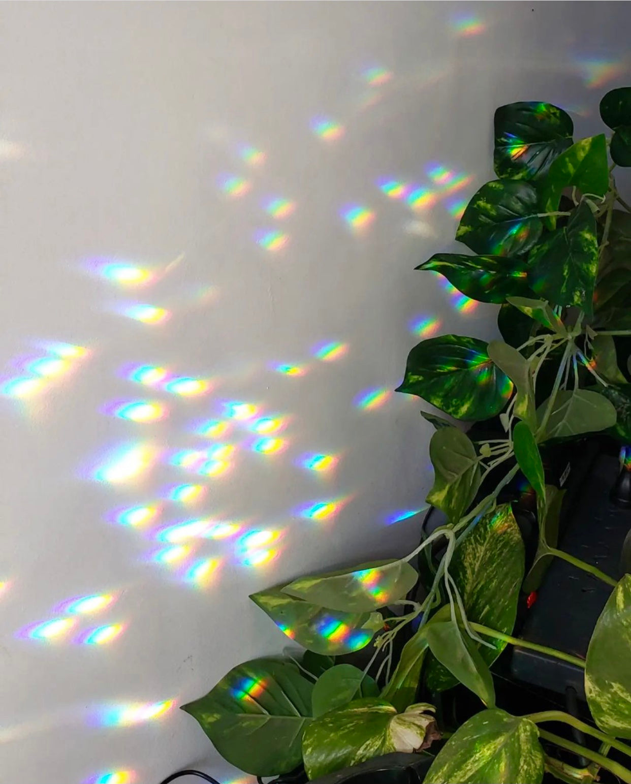 Westerly Suncatcher | Suncatcher | Wiccan Center