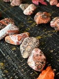 Leopard Skin Jasper - Tumbled | Crystals | Wiccan Center
