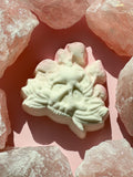 RETURN TO ROOT | BATH BOMB | Wiccan Center