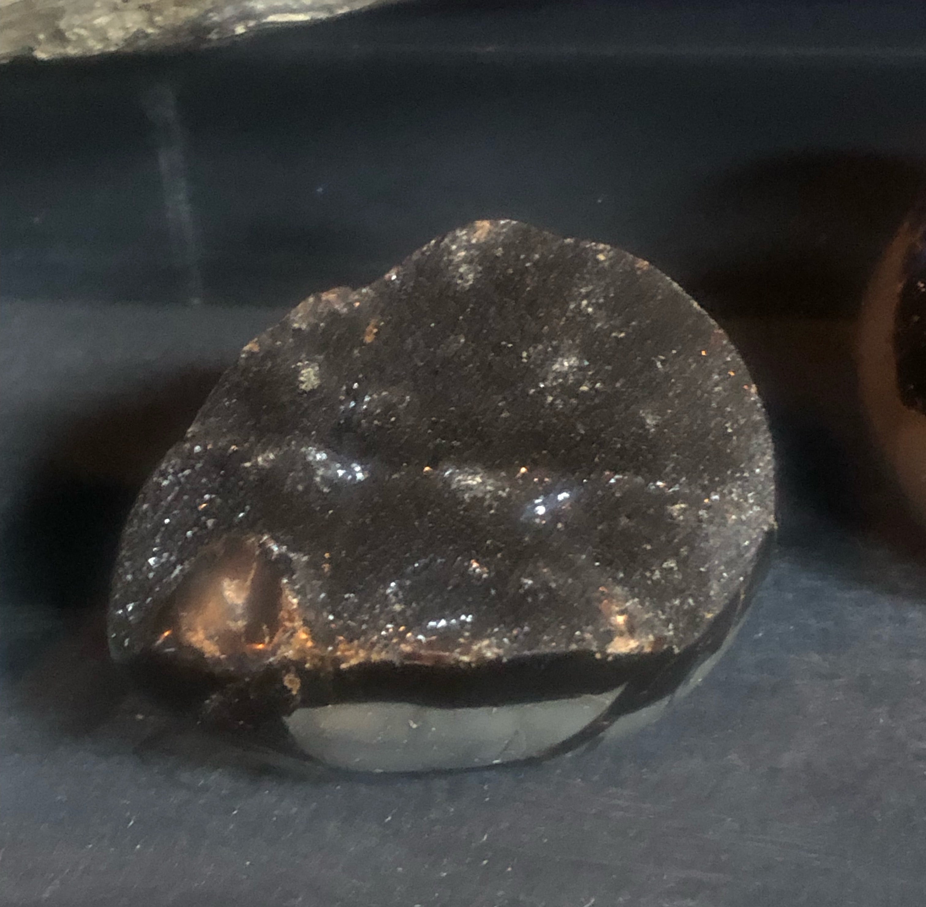 Septarian Dragon Egg | | Wiccan Center