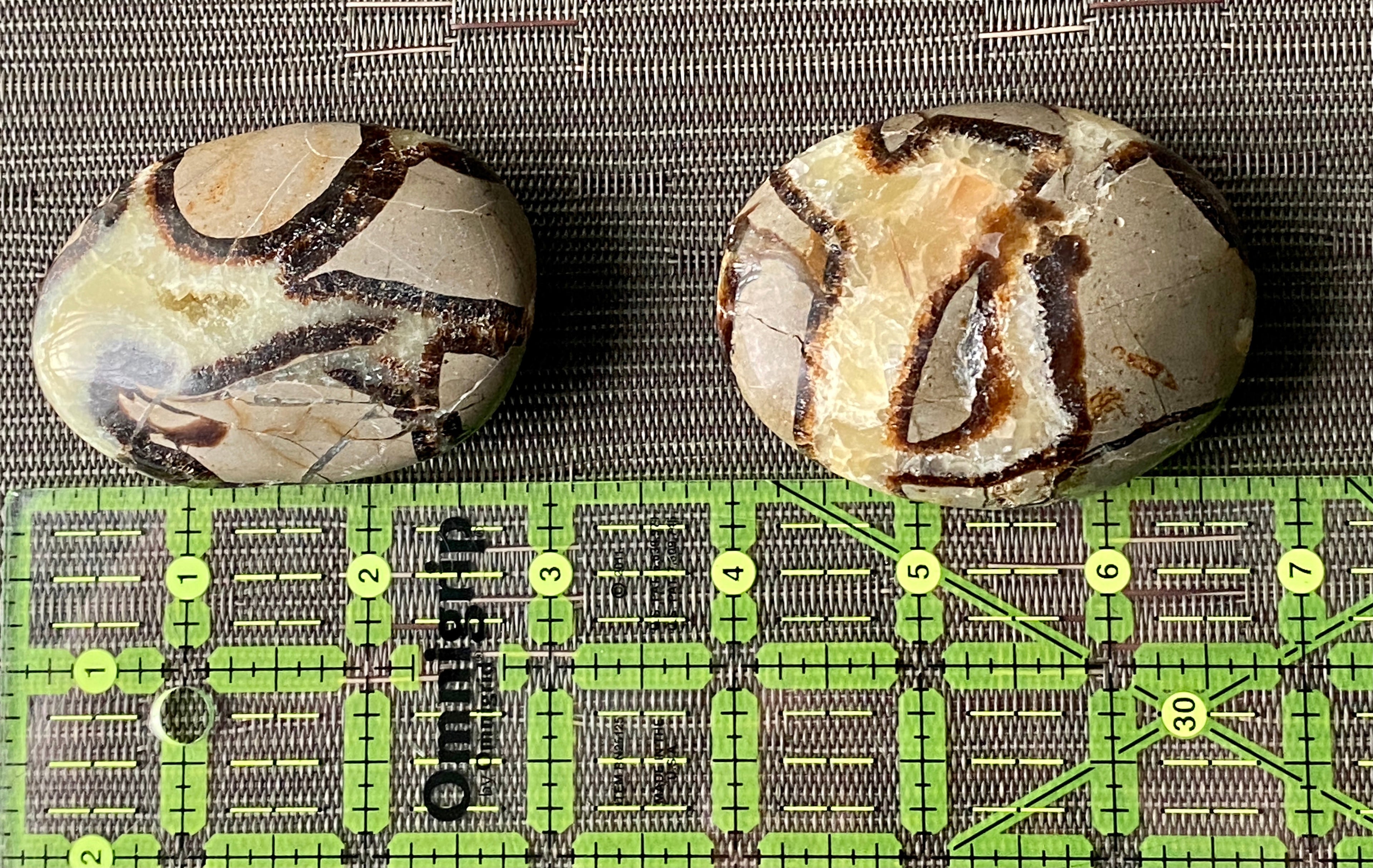 Septarian Palm Stone | | Wiccan Center