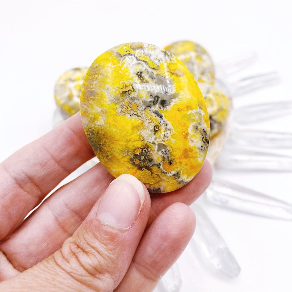 Bumblebee Jasper Palm Stone