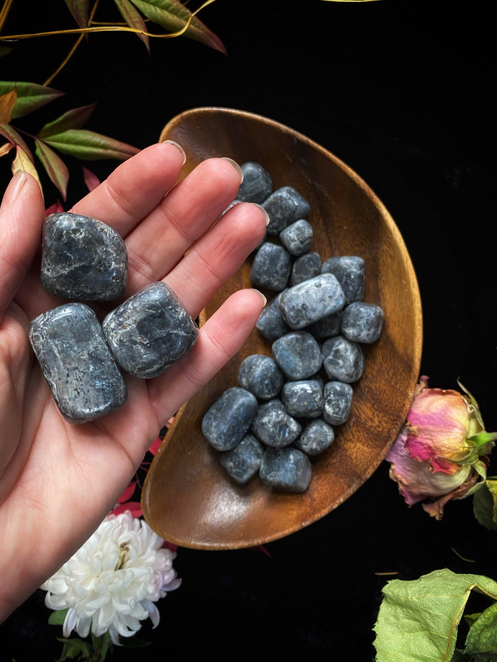 Larkavite Black Moonstone - Tumbled | Crystals | Wiccan Center