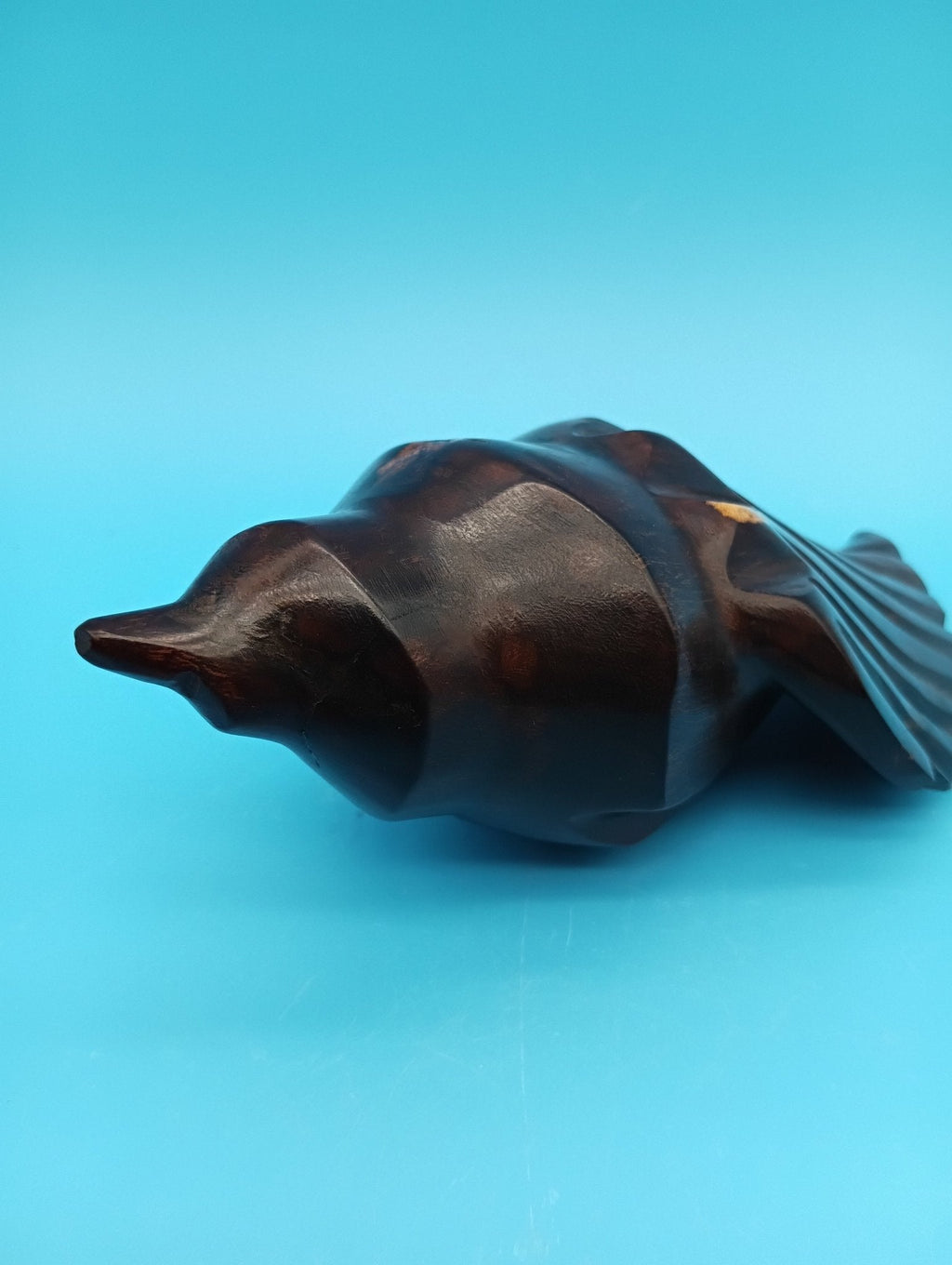 Ironwood Carved Conch Shell – 6.5" Coastal Decor Accent