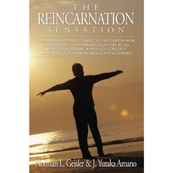 The Reincarnation Sensation - Paperback | Books | Wiccan Center
