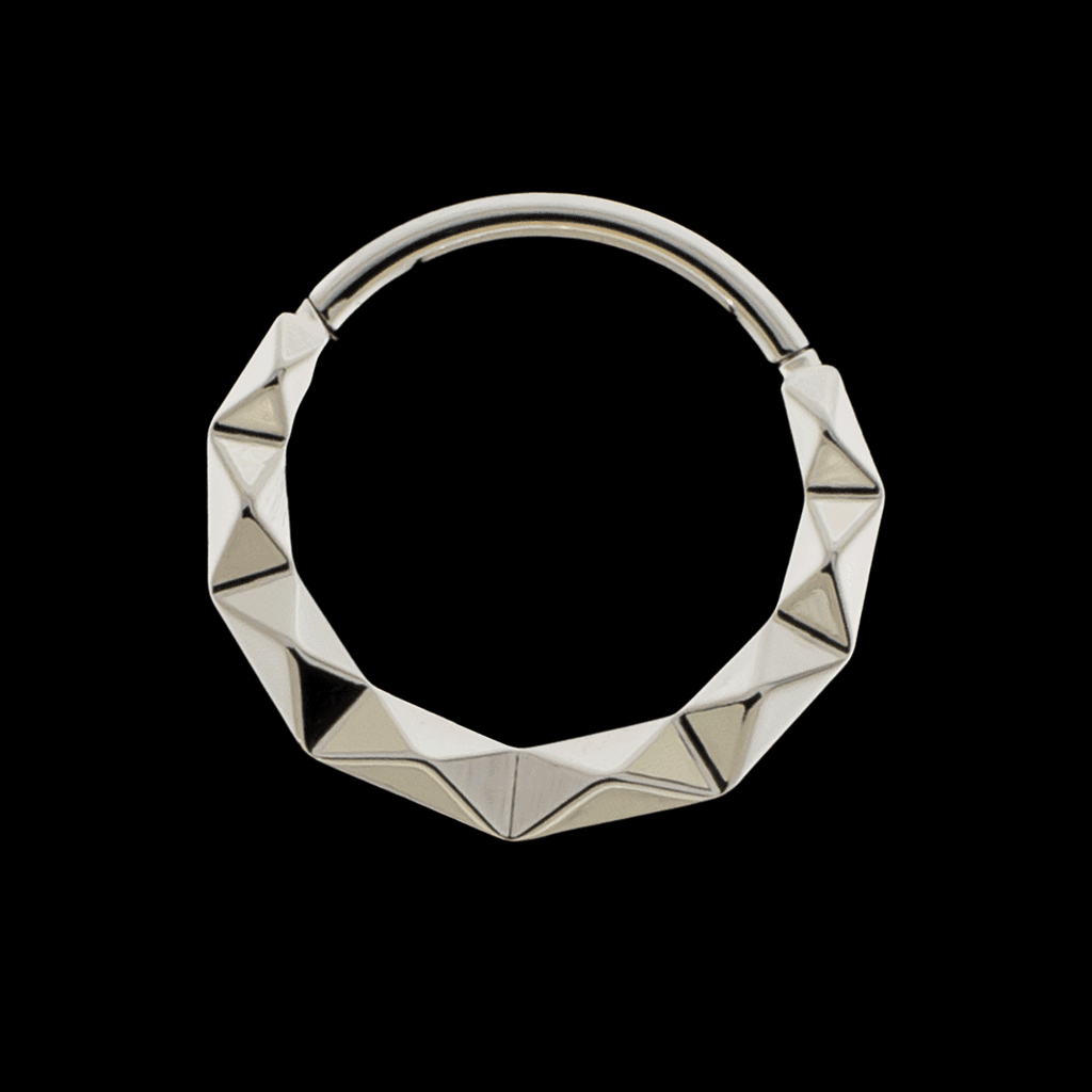 Linden - Titanium Hinged Ring | Hinged Segment Ring | Wiccan Center