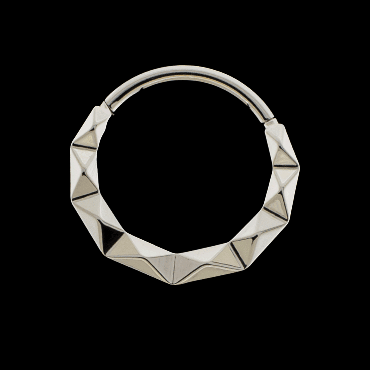 Linden - Titanium Hinged Ring | Hinged Segment Ring | Wiccan Center