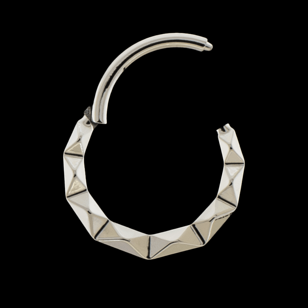 Linden - Titanium Hinged Ring | Hinged Segment Ring | Wiccan Center