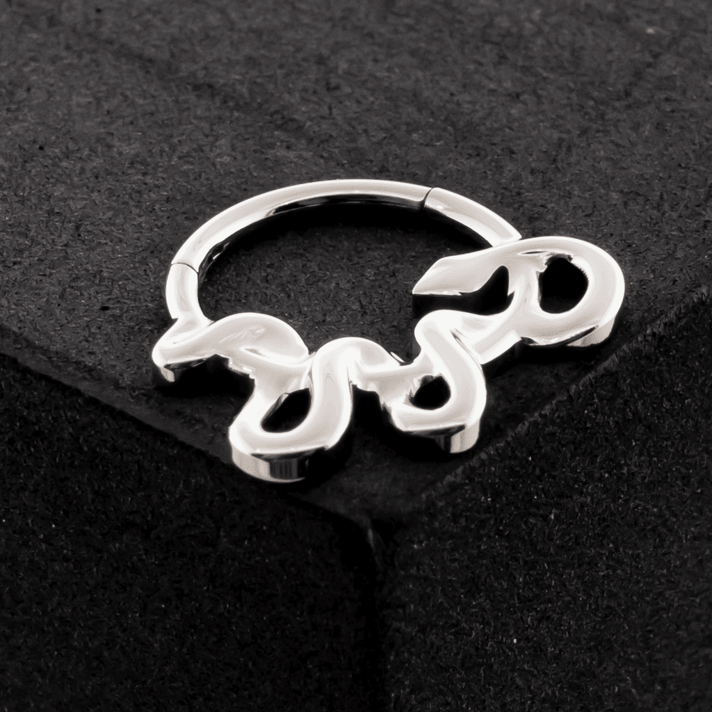 Diablo- Titanium Hinged Ring | Hinged Segment Ring | Wiccan Center