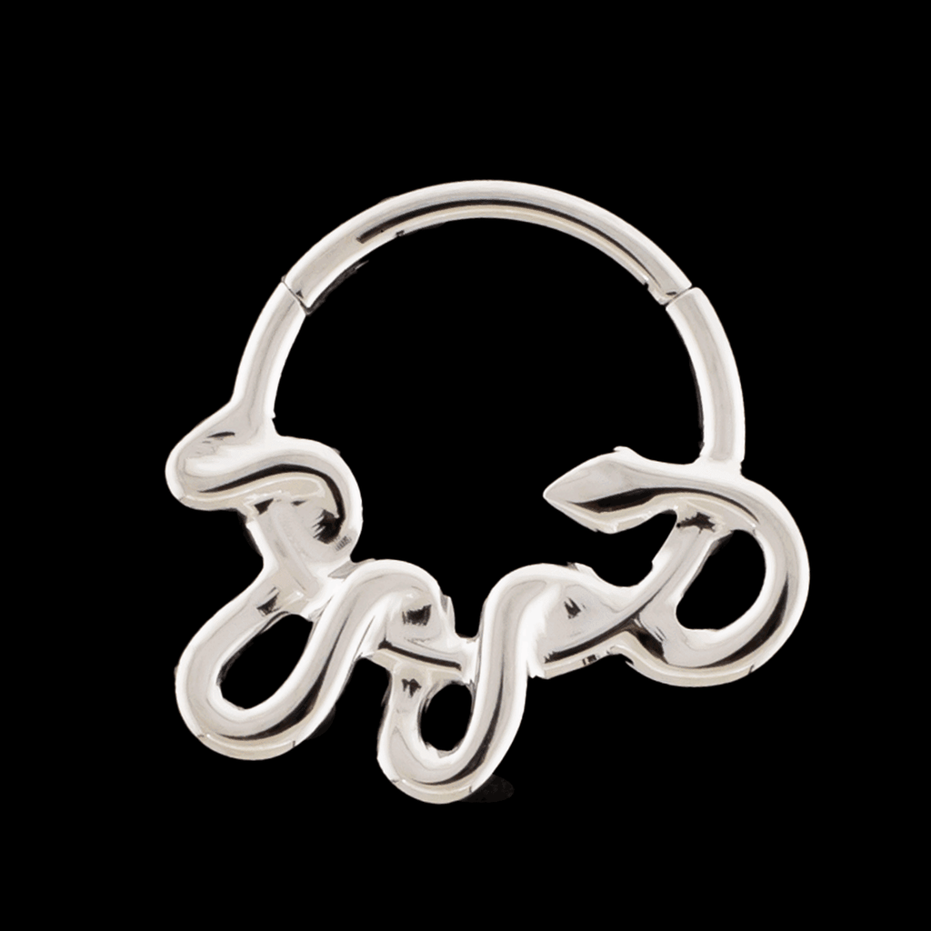 Diablo- Titanium Hinged Ring | Hinged Segment Ring | Wiccan Center