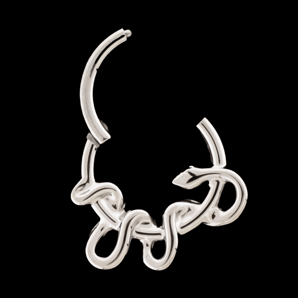 Diablo- Titanium Hinged Ring | Hinged Segment Ring | Wiccan Center