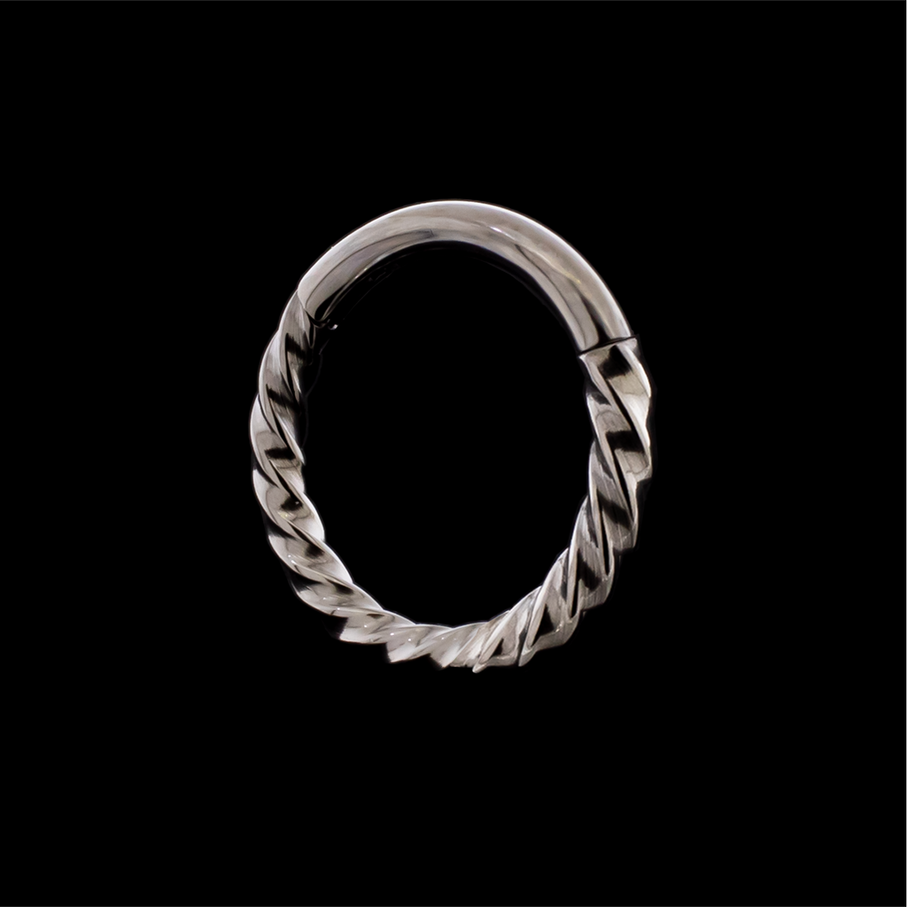 Nellie- Titanium Hinged Ring | Hinged Segment Ring | Wiccan Center