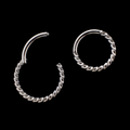 Nellie- Titanium Hinged Ring | Hinged Segment Ring | Wiccan Center