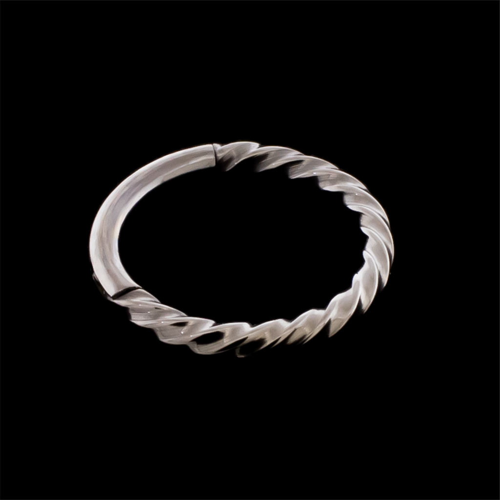 Nellie- Titanium Hinged Ring | Hinged Segment Ring | Wiccan Center
