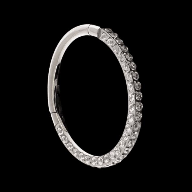 Singapore - Titanium Hinged Ring | Hinged Segment Ring | Wiccan Center