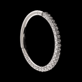 Singapore - Titanium Hinged Ring | Hinged Segment Ring | Wiccan Center