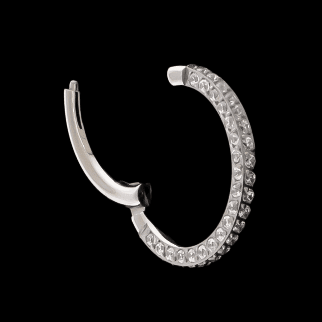 Singapore - Titanium Hinged Ring | Hinged Segment Ring | Wiccan Center