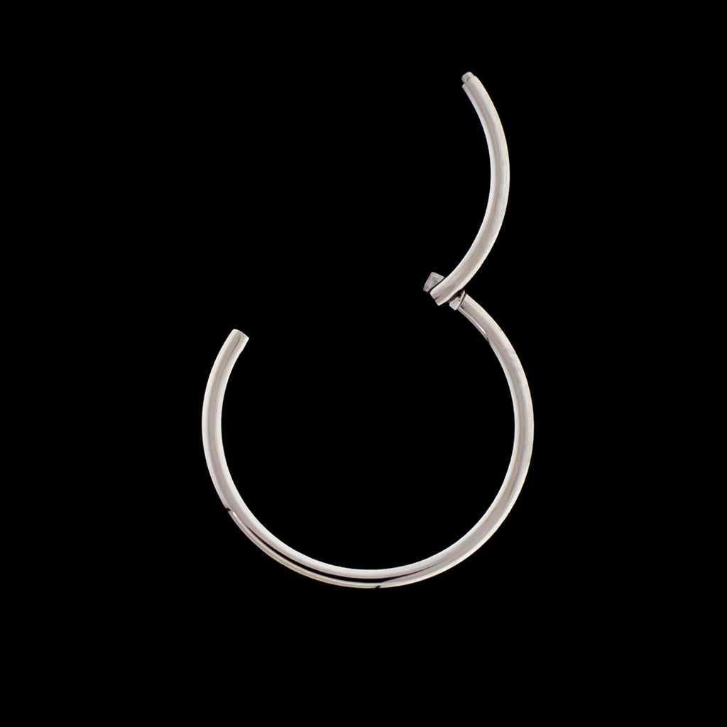 14G Hinged Segment Ring | Body Jewelry | Wiccan Center