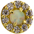 Liora - 14KT Gold Threadless End | Body Jewelry | Wiccan Center