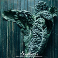 Black Magic Kale – 250 Seeds | Seeds | Wiccan Center